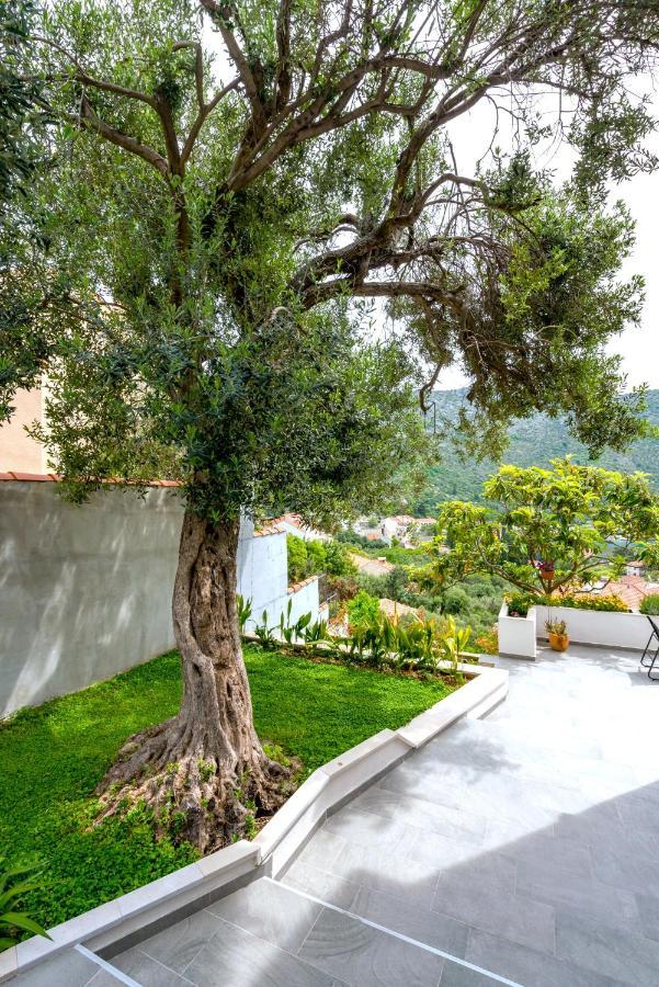Villa Mardia- Sea View Infinity Pool Built 2023 Zaton  Exterior foto